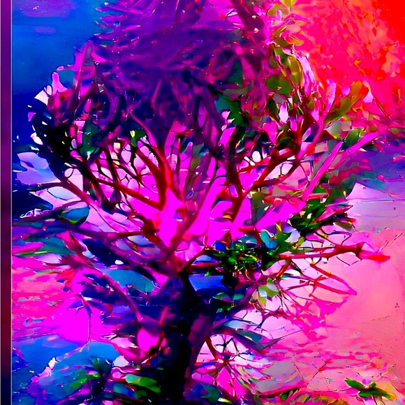 12 Different Art Prints, Unique, Whimsical, 81/2” x 11" Signed, Dated by Artist - Picture 6 of 12